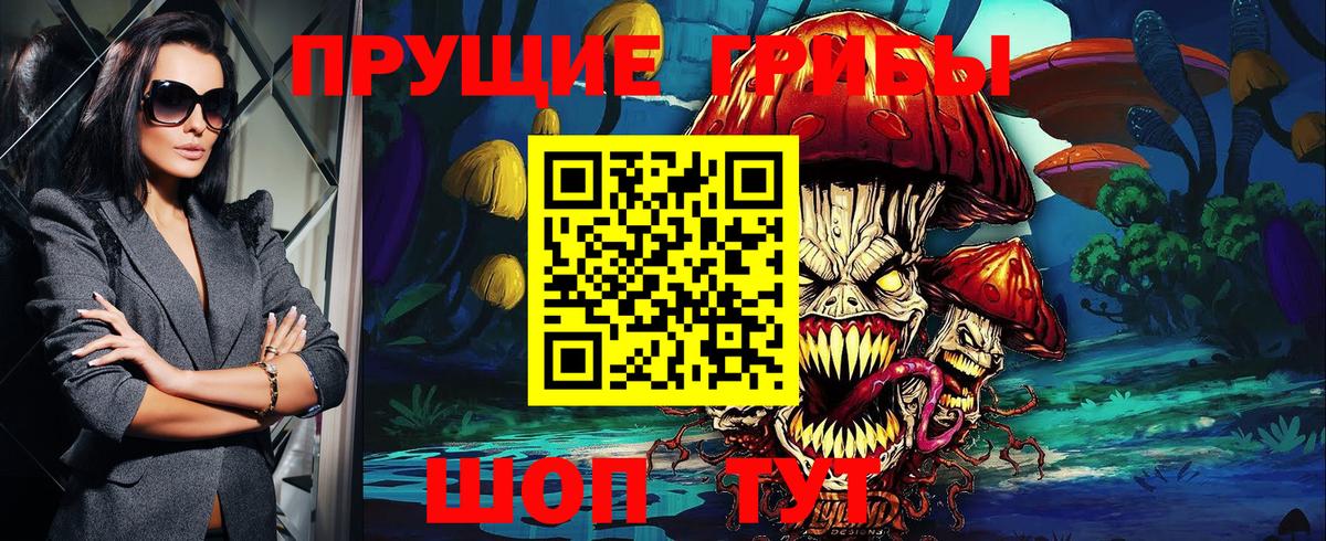 Псилоцибиновые грибы мицелий Кимовск