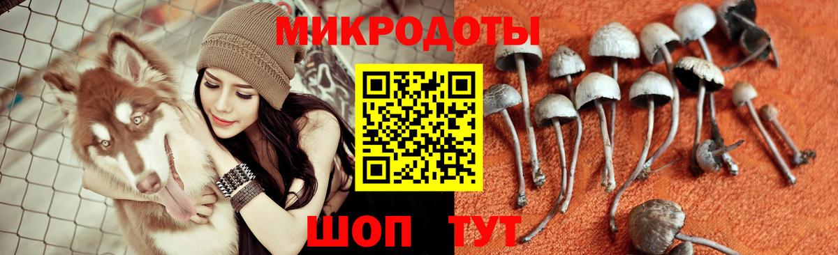 Метадон Кимовск