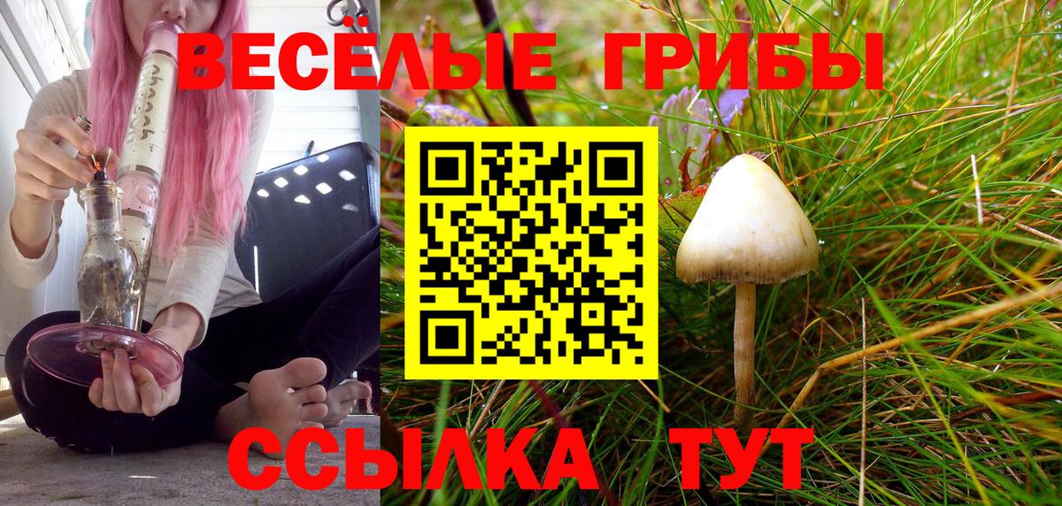 Кимовск  наркота  Галлюциногенные грибы Psilocybe  Вход с VPN  Галлюциногенные грибы GOLDEN TEACHER 